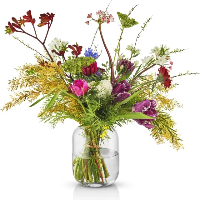 Eva Solo Acorn Vaas 16,5 cm Clear - Glas - Transparant