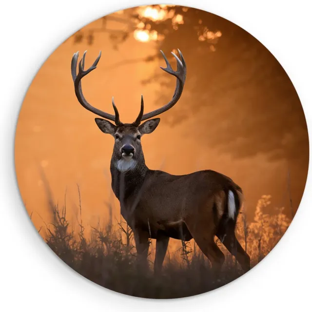 Saammp Muurcirkel Hout - jong hert met zonsondergang in hoog gras - Natuur - Dieren - Ø 80 - Wandcirkel - Wanddecoratie Cirkel - Muurdecoratie Woonkamer - Slaapkamer decoratie - Rond Schilderij