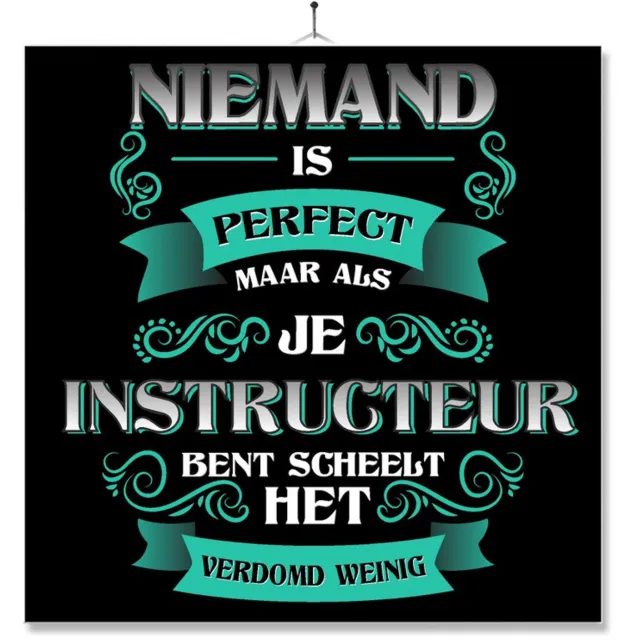 MC Living Tegel Met Opdruk | Kado | Cadeau | Niemand Is Perfect | Beroep | Instructeur Multi-Color