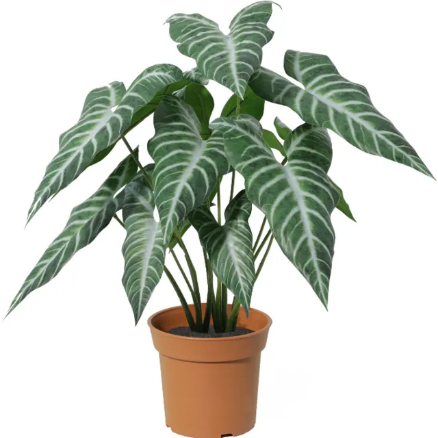 Trendyplants Kunst Alocasia Polly - Olifantsoor - Kunstplant - Hoogte 40cm - Potmaat Ø12cm groen