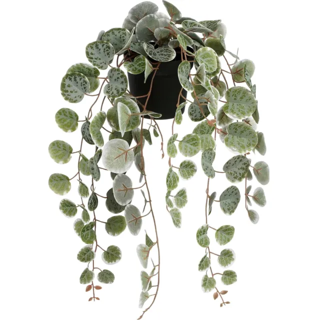 Mica Decorations kunstplant Ceropegia Woodii hangend bont/groen