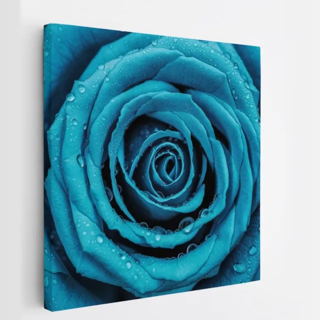 Saammp Canvas Schilderij - Blauwe Roos Met Waterdruppels - Natuur - Abstract - 100x100 - Foto op canvas - Wanddecoratie - Muurdecoratie Woonkamer - Kantoor Decoratie Multicolor