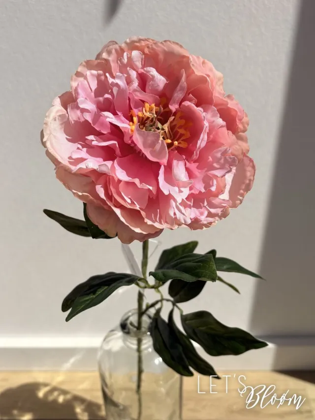 Dutch Dream Let's Bloøm | Pioenroos | Zijden Pioenroos | Kunst Pioenroos | Licht roze | Oudroze | Kunst bloem | Zijden bloem | Kunsttak | Voorjaar | Moederdag