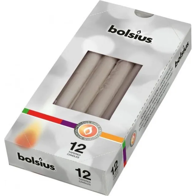 Bolsius Gotische kaarsen 12 stuks 245/24 kleur Grijs