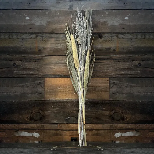 WDMT Droogboeket | white wash bloemen | 75 cm | Decoratieve droog bloemen | Dried flowers Wit