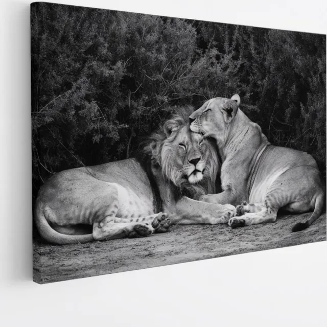 Saammp Canvas Schilderij - Leeuwen koppel tussen de planten - Dieren - Natuur - 100x75 - Foto op canvas - Wanddecoratie - Muurdecoratie Woonkamer - Slaapkamer decoratie - Canvas Print Multicolor