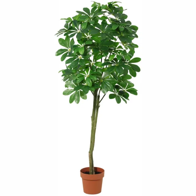 Trendyplants Kunst Pachira Aquatica - Geldboom - Kunstplant - Hoogte 150cm - Potmaat Ø20cm Groen