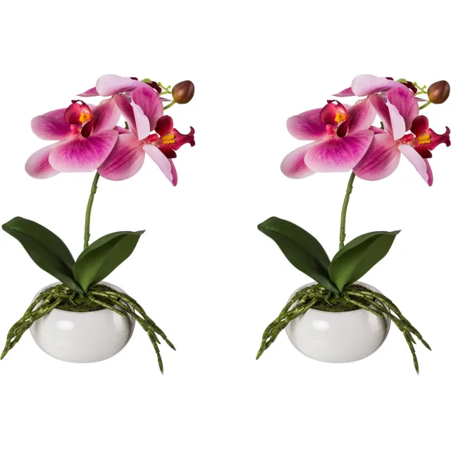 Kopu Set 2 stuks Kunstplant Mini Orchidee 27 cm in witte Sierpot - Roze