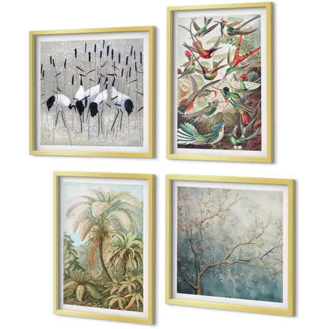 Coloray 4-Delige Schilderij Set - Tropische planten en kleurrijke vogels in de natuur - 40 x 40 cm en 40 x 60 cm - Schilderijen Set - Wanddecoratie - Woonkamer - Moderne Wanddecoratie Gouden lijst