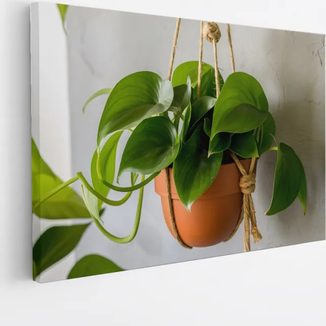 Saammp Canvas Schilderij - Planten aan touw - Bloemen - Abstract - 70x50 - Foto op canvas - Wanddecoratie - Muurdecoratie Woonkamer - Kantoor Decoratie Multicolor