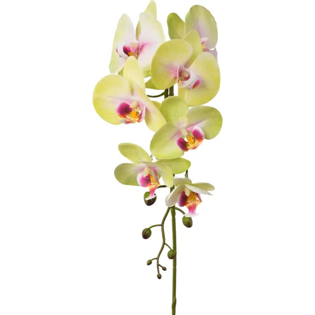 Flourify , Orchidee (Phalaenopsis) kunstplant - 3 stuks - real-touch - kamerplant - roze/groen - 86 cm