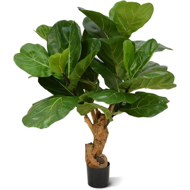 maxifleur Kunstplanten Lyrata deluxe kunstplant op stam 95cm Groen