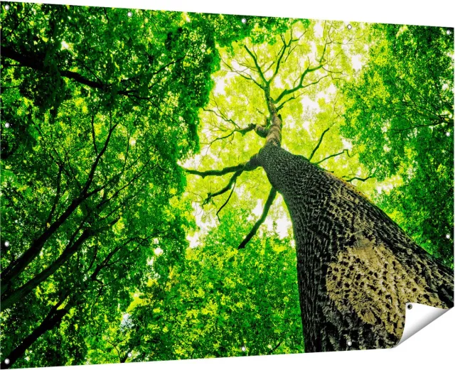 Gards Tuinposter Boom in het Bos met Fel Groene Bladeren - 180x120 cm - Tuindoek - Tuindecoratie - Wanddecoratie buiten - Tuinschilderij Multikleur