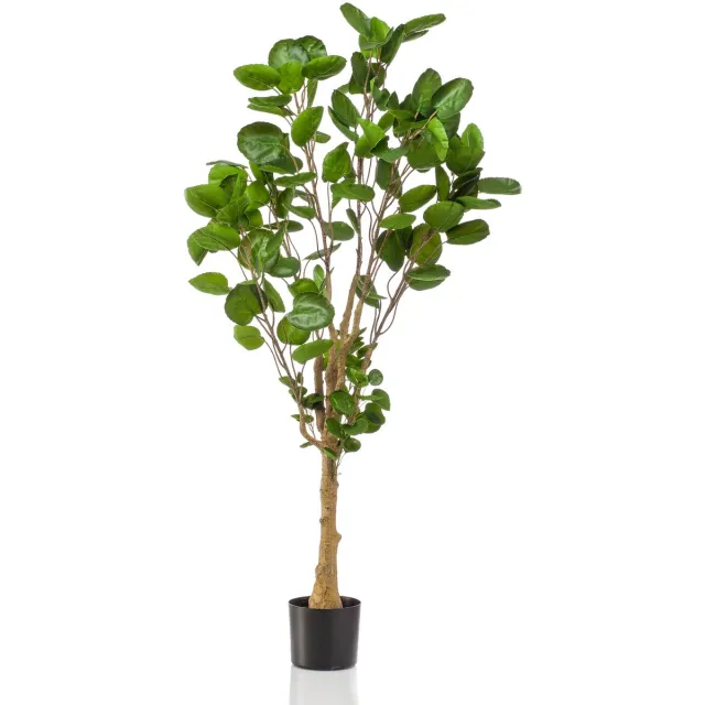 Emerald Kunstboom Polyscias 150cm - Kunstplant voor binnen Groen
