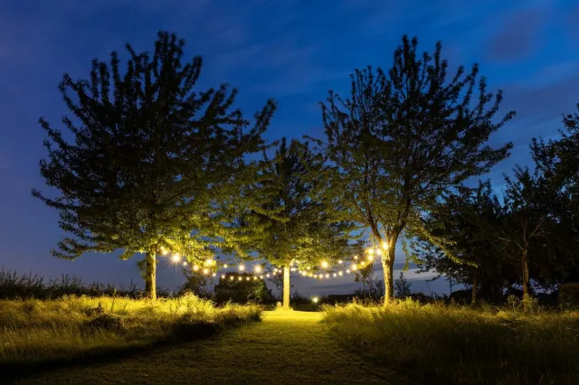 Happy Lights HappyLights lichtsnoer buiten [Outdoor] Clear warm - 50 LED's - 25m