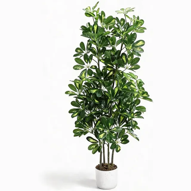 Danky kunst Schefflera parapluboom 120cm PEVA bladeren - weelderige tropische kunstplant voorgemonteerd in zwarte pot voor salon en entree groente