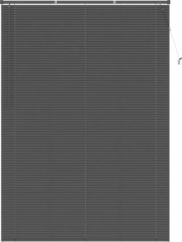 vidaXL Venetiaanse - jaloezie - Zilvergrijs - 213 - x - 150 - cm - 25 - mm - PVC