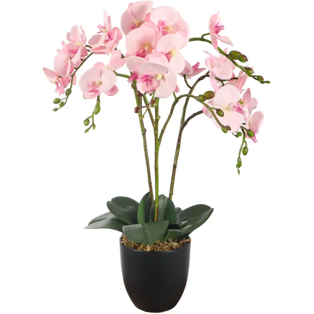 Kunstpalm Kunstplant Orchidee Roze | 70cm – Realistische Kunstorchidee – Luxe Bloemenplant – Onderhoudsvrij – Decoratie voor Woonkamer en Kantoor Lichtroze