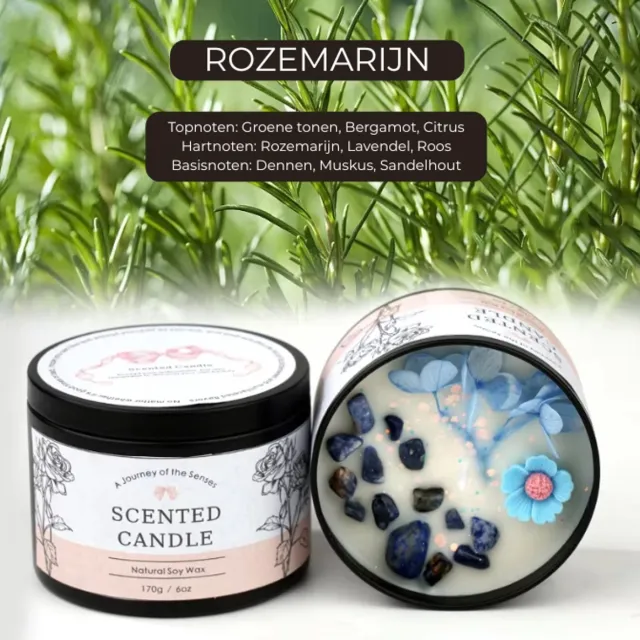 Etsells Luxe Geurkaars Rozemarijn – Sojawas Scented Candle 170g – Frisse Kruidengeur met Citrus & Sandelhout – Aromatherapie Kaars voor Woonkamer en Badkamer