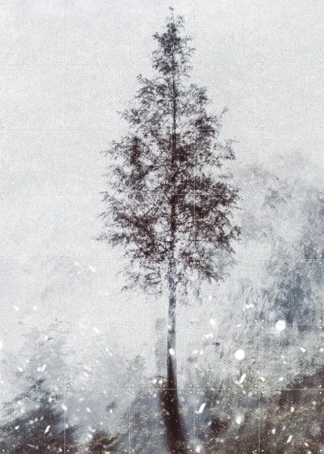 IXXI Winter Tree, Photolovers - 100 x 140 cm - Grote wanddecoratie en posters - Fotografie, Minimalisme, Woonkamer, Slaapkamer, Mist, Winter, Natuur Monochroom / Lichte tinten / Grijs