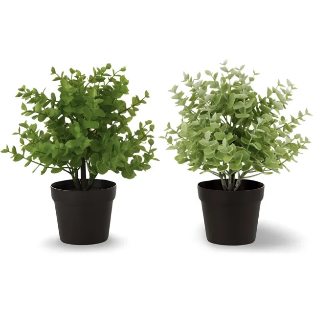 Dulaire Kunstplant Vetplant In Pot 2 st. - 25 cm groen