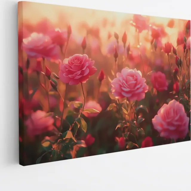 Saammp Canvas Schilderij - Rozenveld bij Zonsopkomst - Natuur - Landschap - 45x30 - Foto op canvas - Wanddecoratie - Muurdecoratie Woonkamer - Kantoor Decoratie Multicolor
