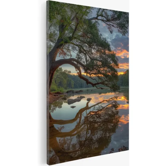 Saammp Canvas Schilderij - Scheve Boom met zonsondergang - Bloemen - Landschap - Natuur - 75x100 - Foto op canvas - Wanddecoratie - Muurdecoratie Woonkamer - Slaapkamer decoratie - Canvas Print Multicolor