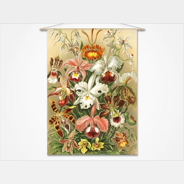 Naturalis Unlimited Wandkleed-XL Orchideeën - botanische prent van Ernst Haeckel geel