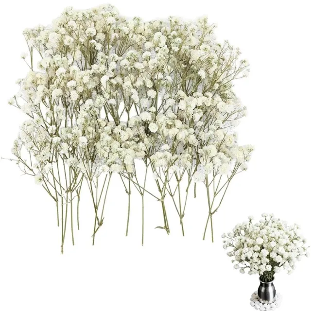 Famanu Set van 100 natuurlijke gedroogde gipskruid bloemen voor knutselen en decoratie