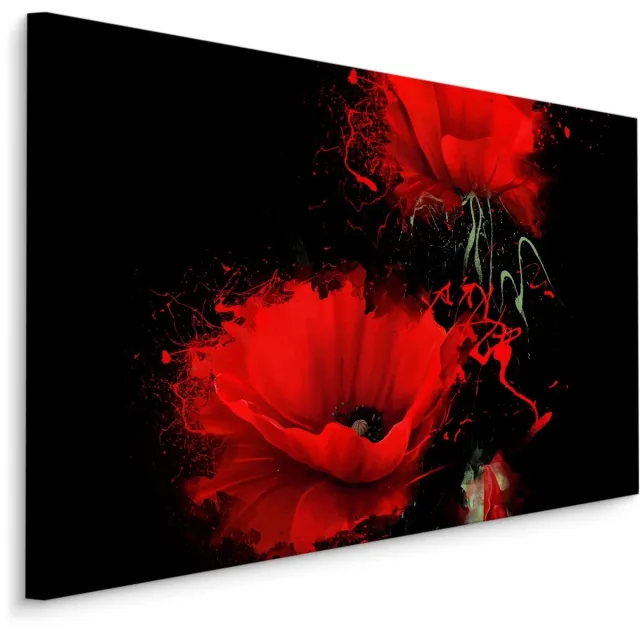 karo-art Schilderij - Rode klaprozen, zwarte achtergrond, premium print Multikleur