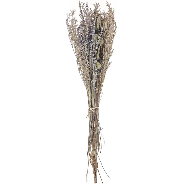 Beliani NAWARRA - Droogbloemen boeket - Natuurlijk - Droogbloemen