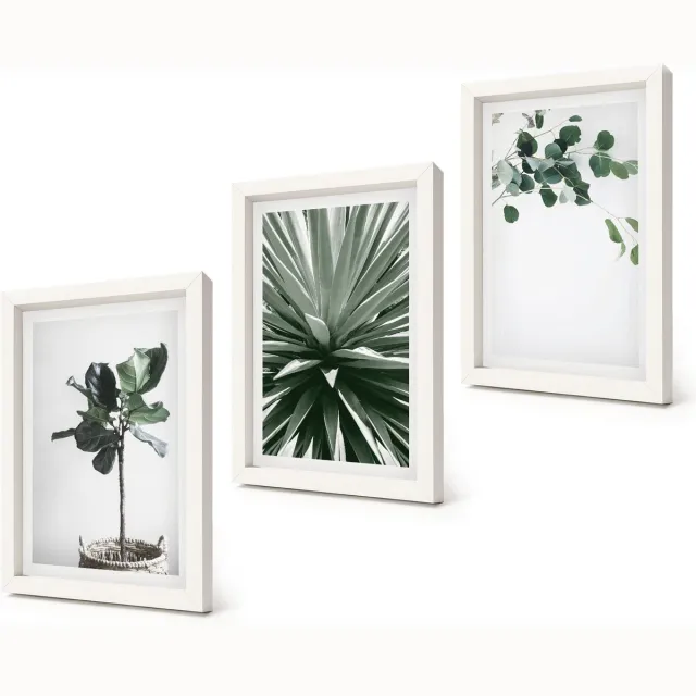 Coloray 3-Delige Schilderij Set - Groene planten in een minimalistische stijl - 20x30 - Decoratieve Schilderijen - Woonkamer - Interieur - Moderne Wanddecoratie Witte lijst