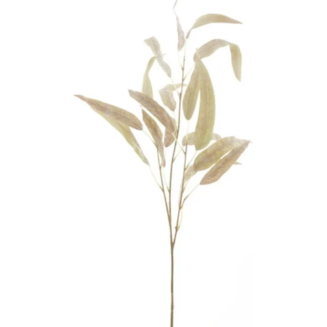 Hortus Kunsttak eucalyptus brown, 74 cm Hortus onbekend