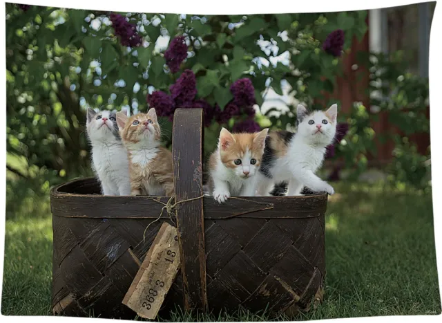 Ulticool Wandkleed 200x150 cm – Kat Poezenmand Natuur Bos – Met Bevestigingspinnen - voor Binnen / Buiten - Tuinposter Wandtapijt Posters - Kitten Poes Katten Accessoires Veelkleurig
