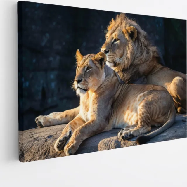Saammp Canvas Schilderij - Leeuw en Leeuwin op steen- Dieren - Natuur - 60x40 - Foto op canvas - Wanddecoratie - Muurdecoratie Woonkamer - Slaapkamer decoratie - Canvas Print Multicolor