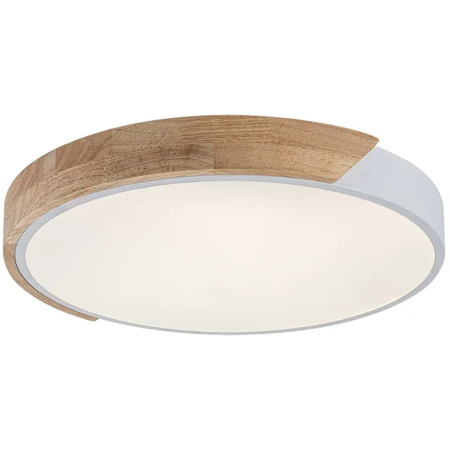 Rabalux Maple2 - plafondlamp - LED-lamp 40 W IP20 matwit 3000, 4000, 6500 K, geheugenfunctie, 71419