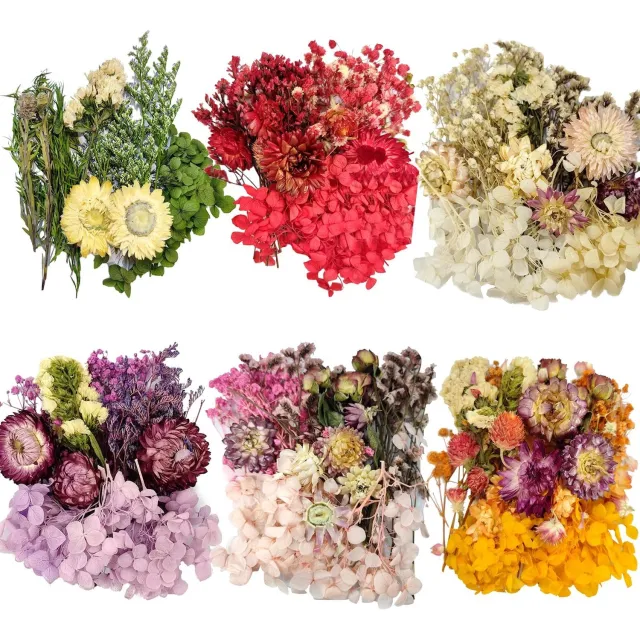Famanu Set van 6 zakjes natuurlijke gedroogde bloemen in verschillende kleuren voor knutselen