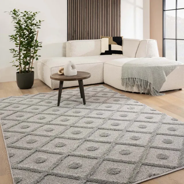 Tapeso Scandinavisch vloerkleed - Arc Diamond lichtgrijs 100x200
