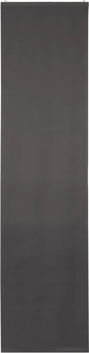 Elbersdrucke Schuifgordijn Midnight 245x60 cm grijs lichtdicht Grau