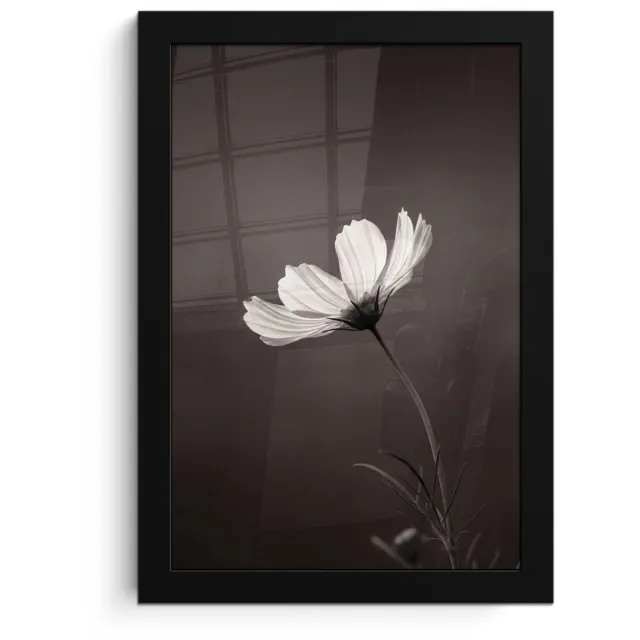FrameYourWall Poster in lijst - Fotolijst 20x30 cm - Posters - Bloem - Minimalistisch - Zwart - Wit - Posterlijst zwart - Decoratie - Wanddecoratie woonkamer - Muurdecoratie slaapkamer