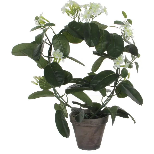 Mica Decorations Stephanotis Kunstplant in Bloempot Stan - H50 x Ø40 cm - Wit