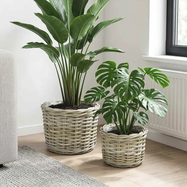 vidaXL Bloempot Mand GENDT 2 st Natuurlijk grijs Kubu Rattan