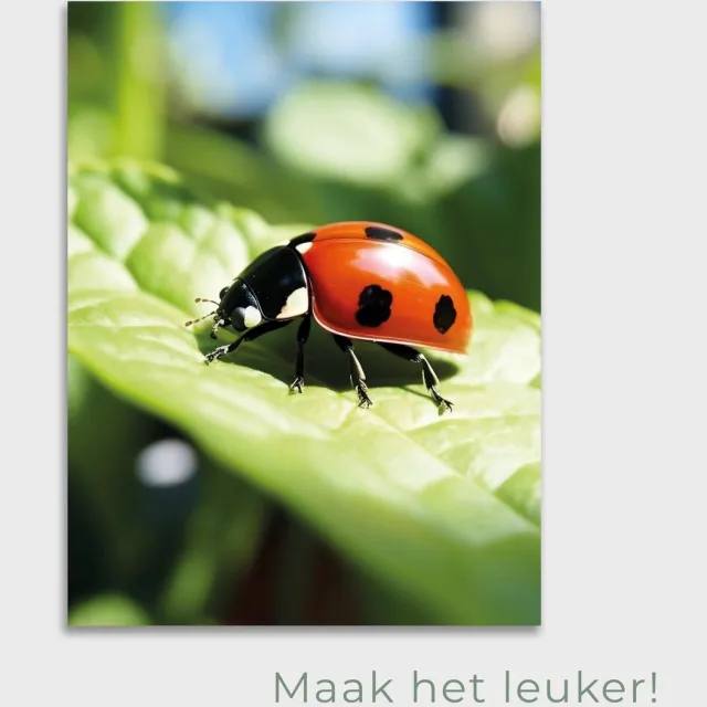 Maak het leuker Tuinposter Lieveheersbeestje - Posters voor in de tuin - Tuindecoratie - Tuinposter - 50 x 70 cm Meerkleurig