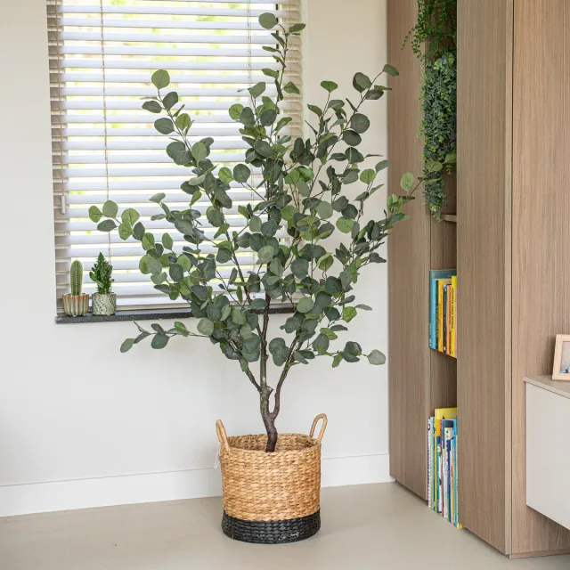 Emerald Eucalyptus boom - 140 cm - Kunstplant Multi