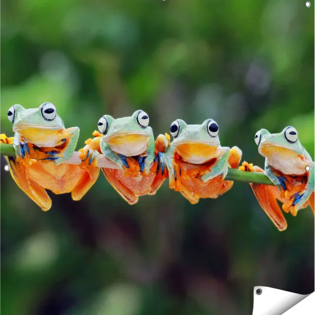 Gards Tuinposter Groep Kikkers op een Tak - 100x100 cm - Tuindoek - Tuindecoratie - Wanddecoratie buiten - Tuinschilderij Multikleur
