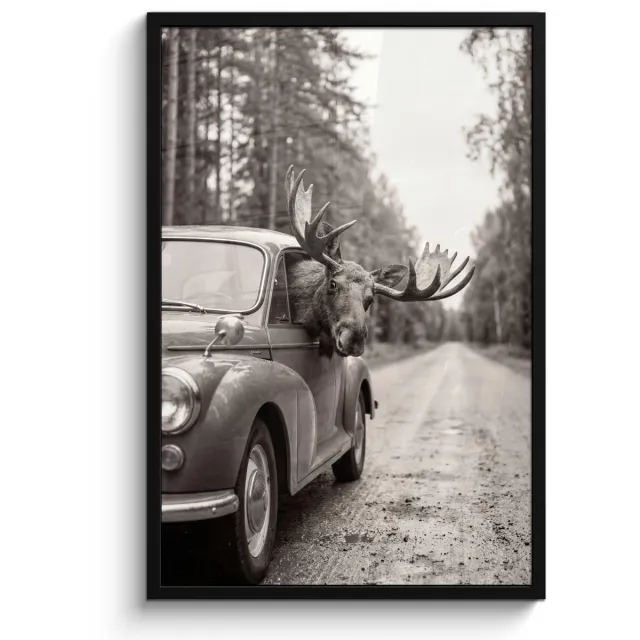 FrameYourWall Poster in lijst - Fotolijst 60x90 cm - Posters - Eland - Auto - Gewei - Zwart - Wit - Posterlijst zwart - Decoratie - Wanddecoratie woonkamer - Muurdecoratie slaapkamer