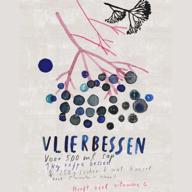 IXXI Vlierbessen, Signorinah - 80 x 100 cm - Grote wanddecoratie en posters - Illustraties, Eten & Drinken, Natuur Lichte tinten