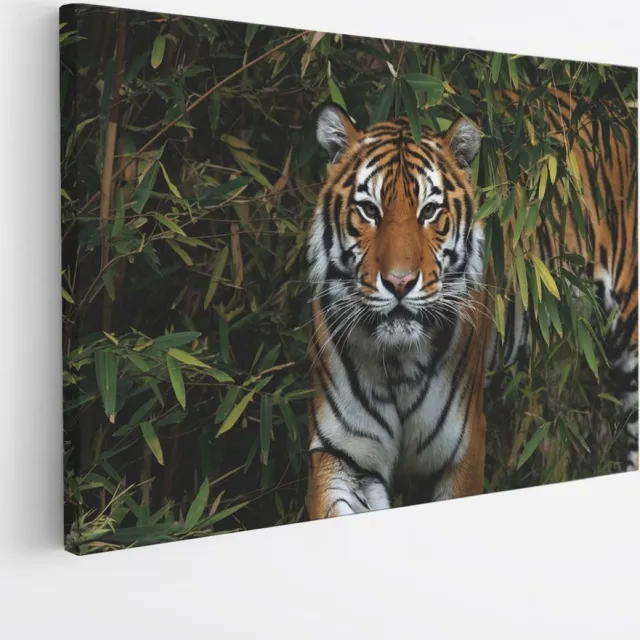 Saammp Canvas Schilderij - Tijger in Korea - Natuur - Dieren - 30x20 - Foto op canvas - Wanddecoratie - muurdecoratie Woonkamer - Slaapkamer decoratie - Canvas Print Multicolor