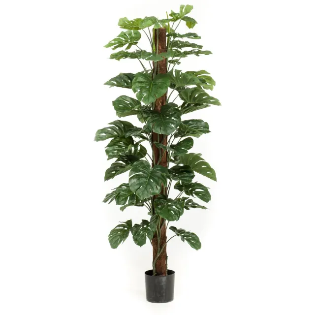 Emerald Kunstplant Monstera op paal 180cm - Kunstplant voor binnen Groen