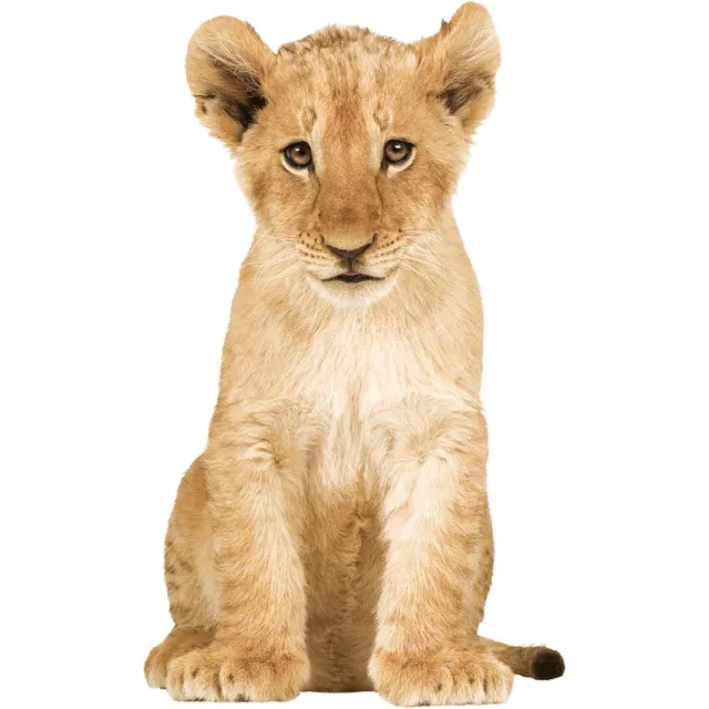 KEK Amsterdam Safari Friends: Lion Cub - Muursticker - Multicolor Bruin